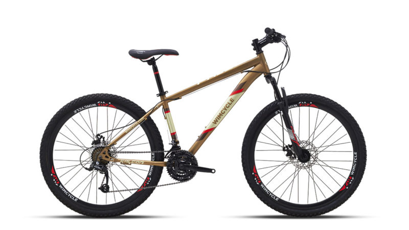 MY22-FALCON-BRONZE-P_web