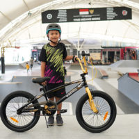 Sepeda Anak Wimcycle Spesifikasi & Harga