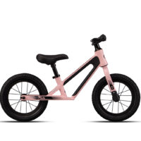MY26 Sepeda Anak PUSH BIKE PLUTO12 PINK P
