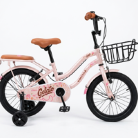 Sepeda Mini Anak Perempuan Wimcycle Elena Gelato 16 Pink AI