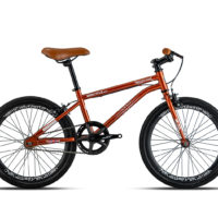 Sepeda Fixie Anak MY26 WIMCYCLE FIXIE MUSE BRITISH SOUL BRONZE P